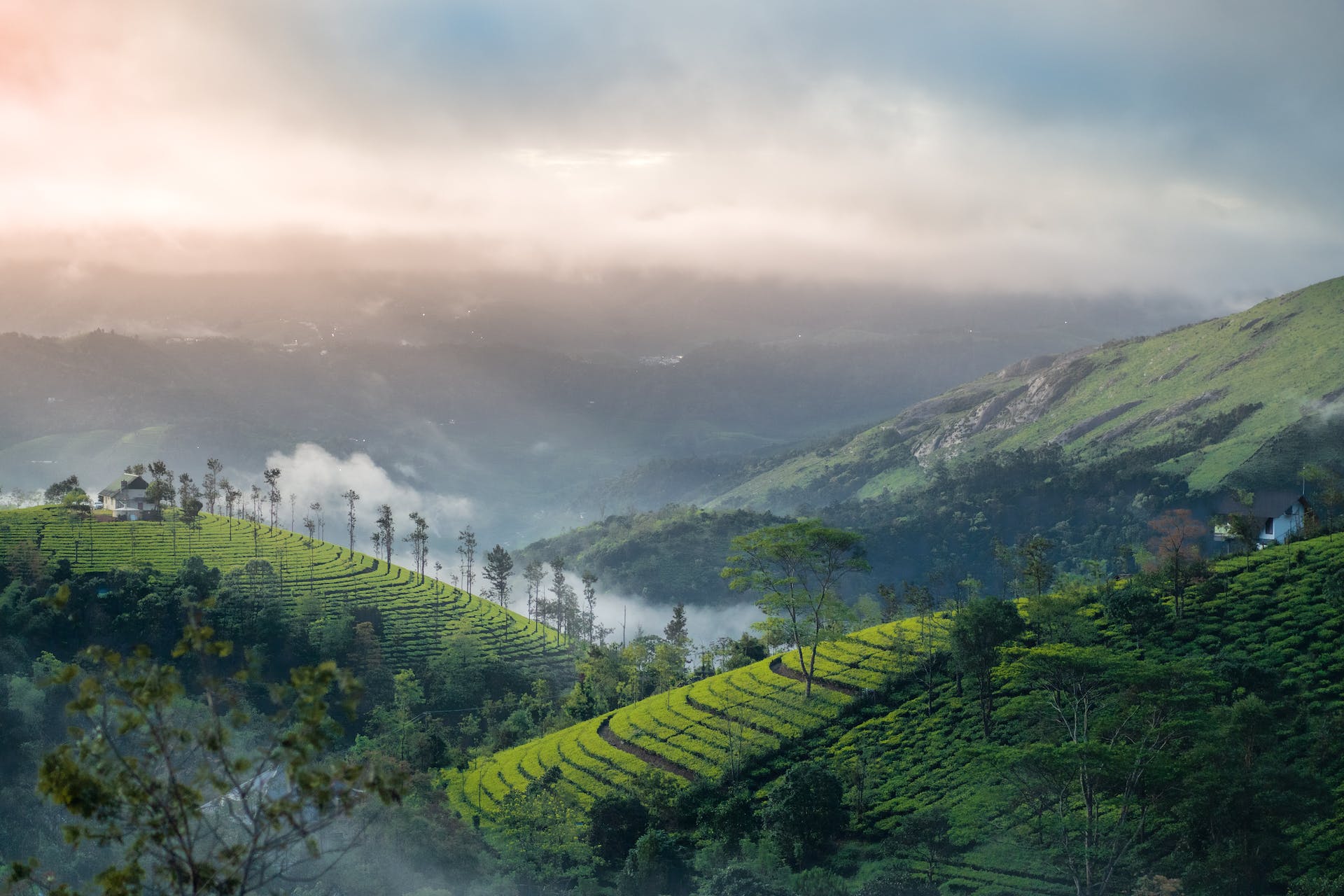 Munnar Kumarakom Cochin